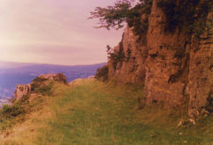 
Hills Tramroad to Garnddyrys, May 1981